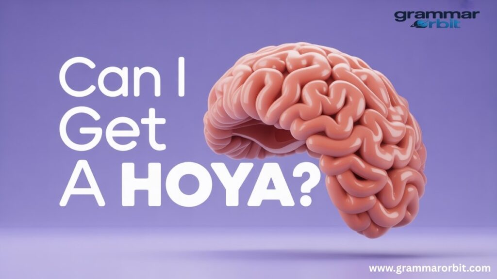 How to Respond to "Can I Get a Hoya" A Menu of Options