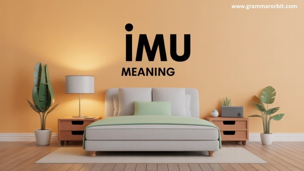 Common Misunderstandings About IMU Meaning in Text