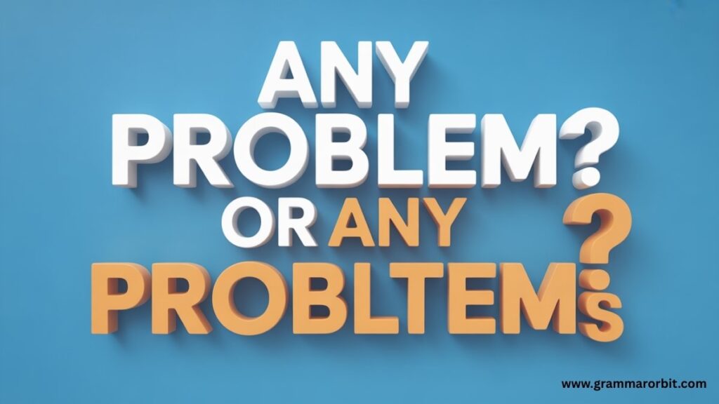 The Function of Any with Nouns