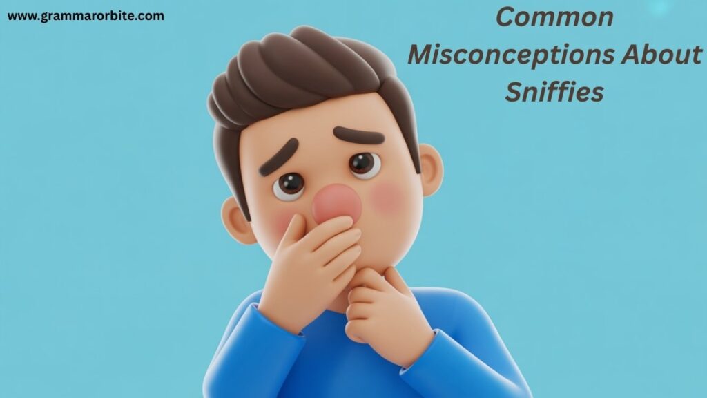 Common Misconceptions About