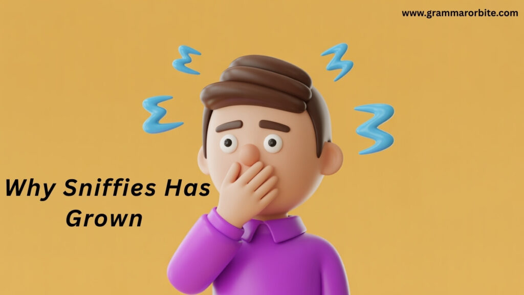 Why Sniffies Has Grown So Quickly