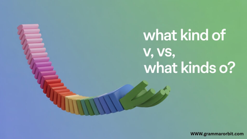 What Does What Kind of Mean?