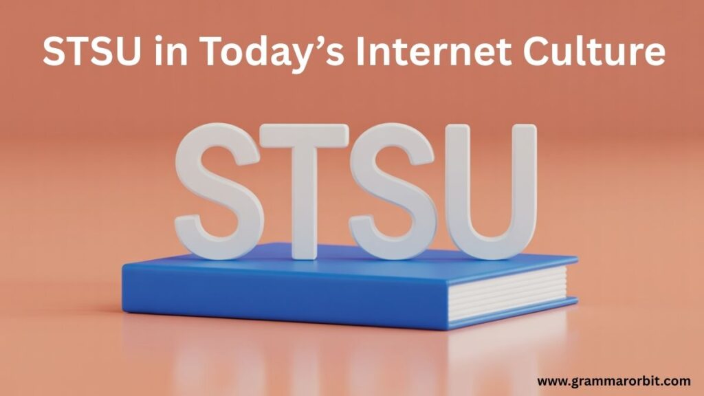 STSU in Today’s Internet Culture