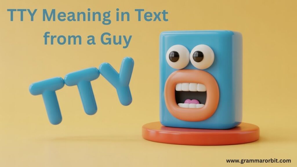 TTY Meaning in Text from a Guy