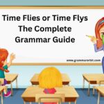 Time Flies or Time Flys The Complete Grammar Guide
