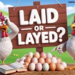 Laid or Layed Which One Is Correct?