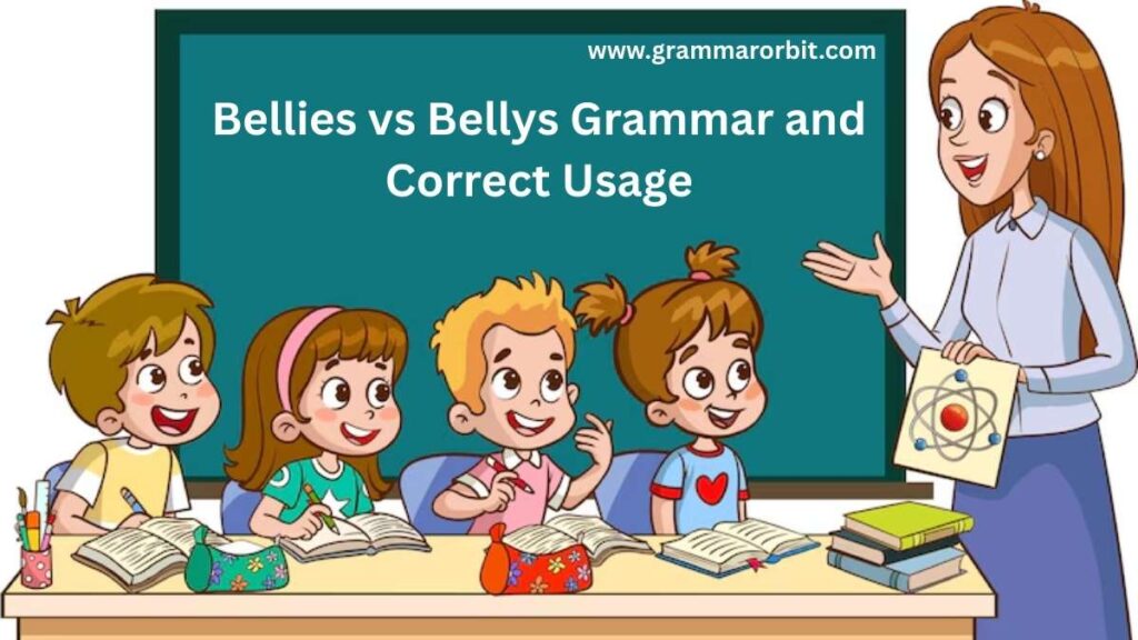 Bellies vs Bellys Grammar and Correct Usage