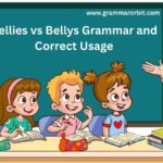 Bellies vs Bellys Grammar and Correct Usage