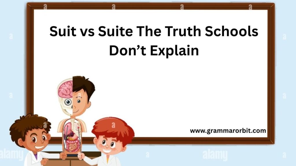Suit vs Suite The Truth Schools Don’t Explain