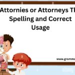 Attornies or Attorneys The Spelling and Correct Usage
