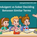 Indulgent vs Sober Deciding Between Similar Terms