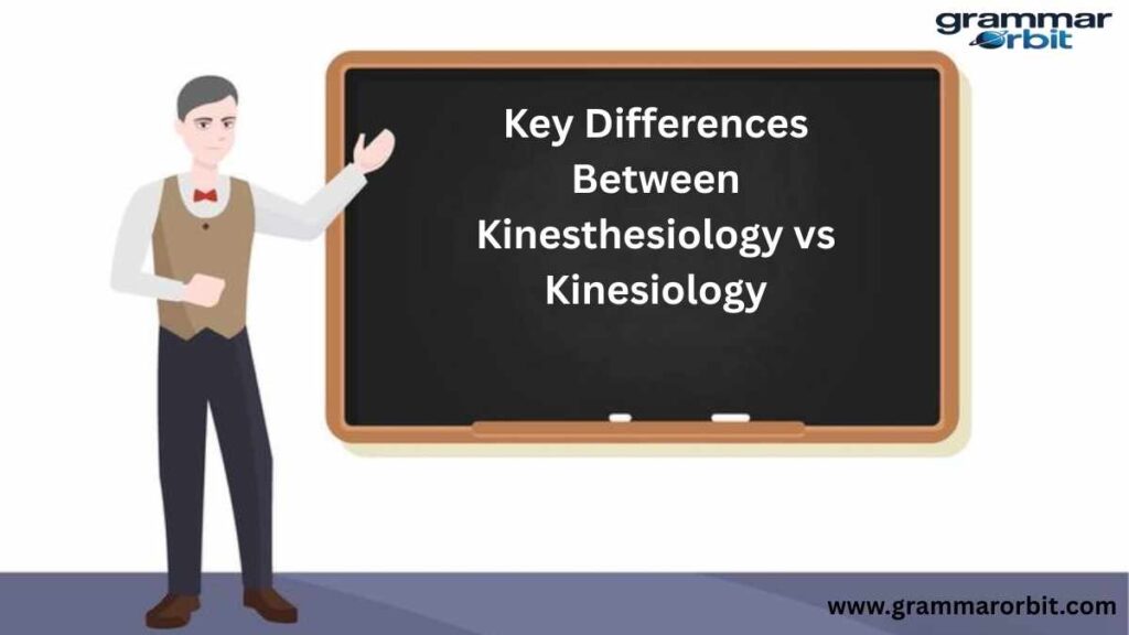 Key Differences Between Kinesthesiology vs Kinesiology