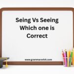 Seing Vs Seeing Which one is Correct