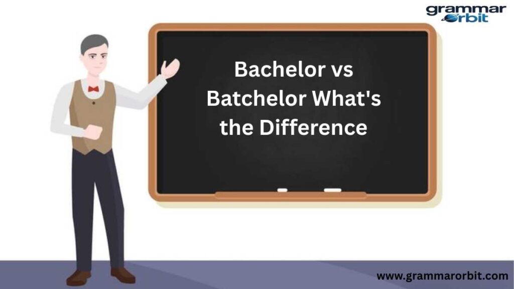 Bachelor vs Batchelor What’s the Difference