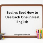 Seal vs Seel How to Use Each One in Real English