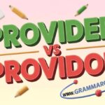 Provider vs Providor Correct Spelling  Usage