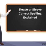 Sleave or Sleeve Correct Spelling Explained